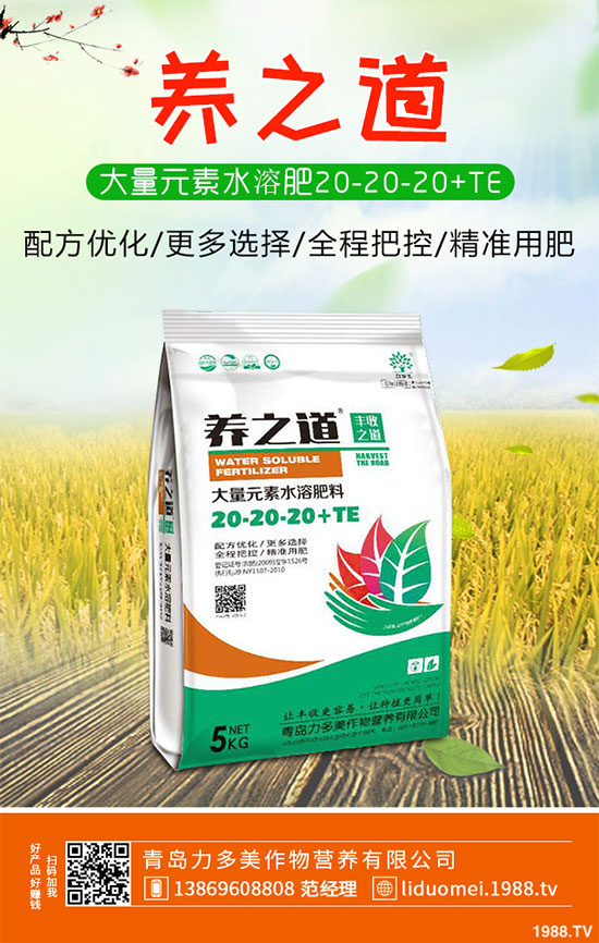 白菜白銹病危害這么大，到底該如何防治？白菜白銹病防治措施