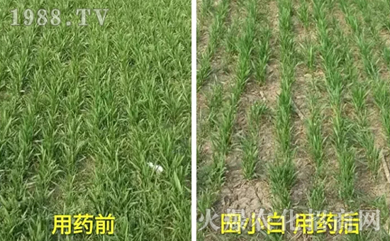 ��(ji��)��(ji��)����η�������ʲôˎ����ô��ˎЧ������