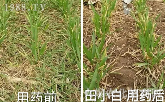 ��(ji��)��(ji��)����η�������ʲôˎ����ô��ˎЧ������