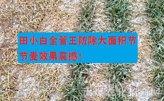 ��(ji��)��(ji��)����η�������ʲôˎ����ô��ˎЧ������