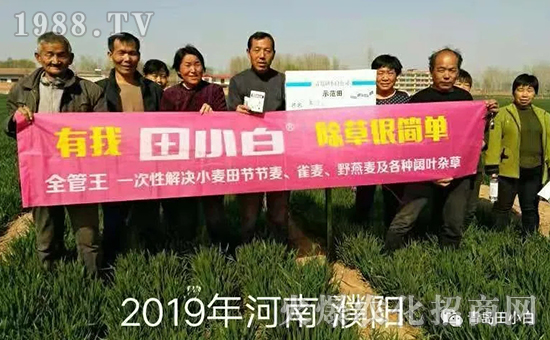 39��(ji��)��(ji��)����η�������ʲôˎ����ô��ˎЧ������