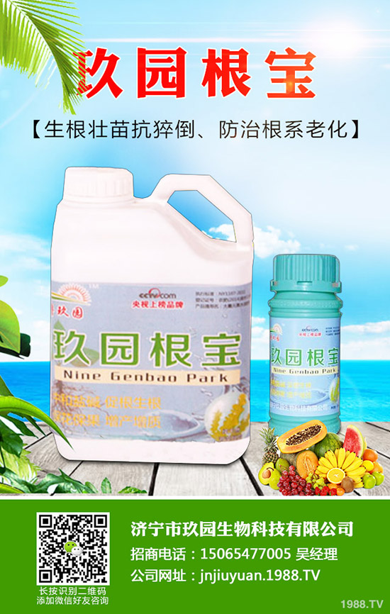 �������x��η����������x��Σ�����l(f��)��Ҏ(gu��)����