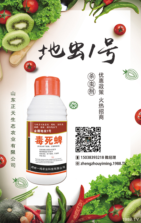 �����}����ηNֲ�������}����Ҫע��ʲô��