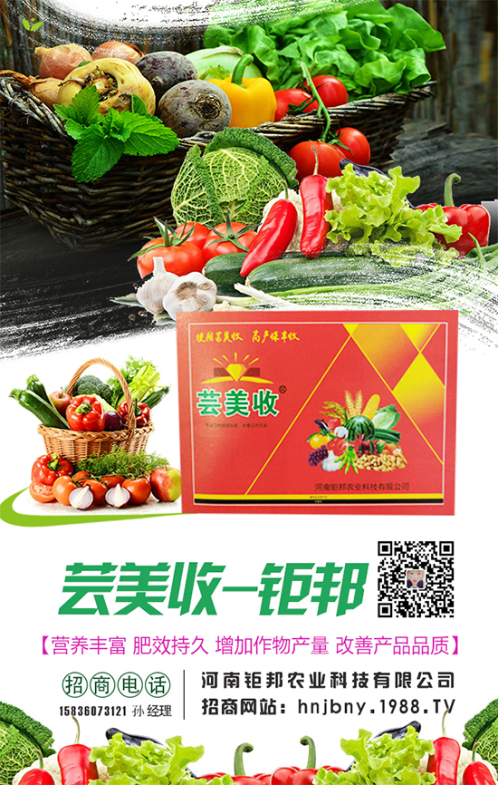 �����}�����L��(du��)�h(hu��n)���l��Ҫ���������}����ôʩ����