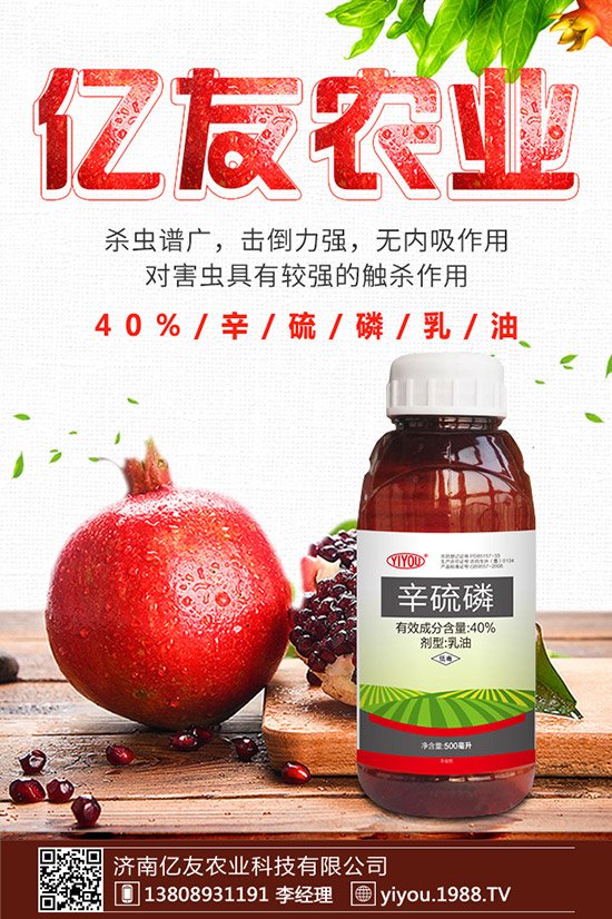 臘梅種子怎么種，臘梅種子種植方法！