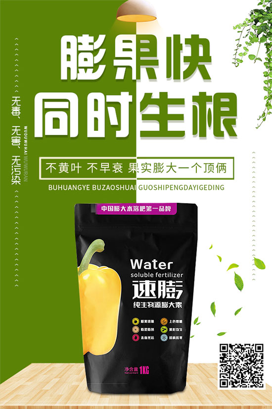 白菜霜霉病是如何引起的？有哪些危害？白菜霜霉病的預(yù)防措施