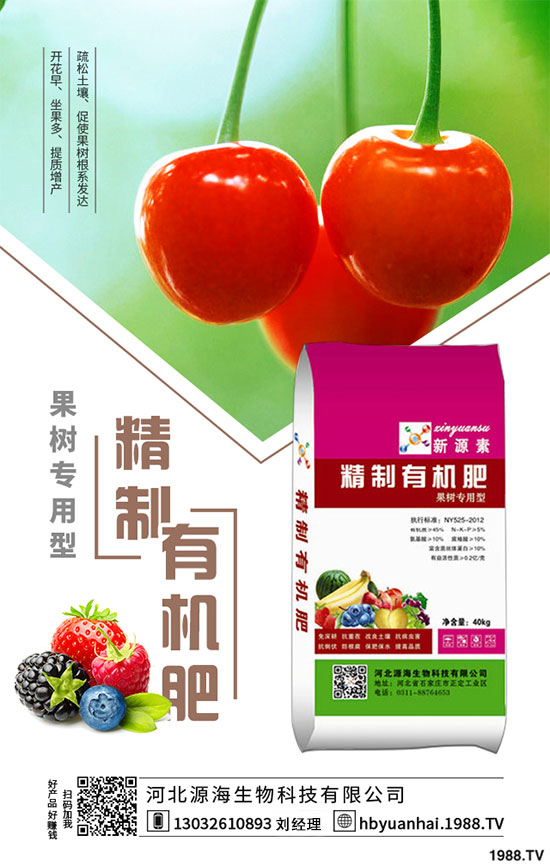 2020年香菇種植前景如何？2020年香菇種植賺錢嗎？