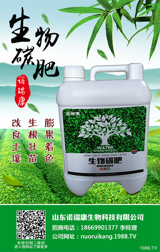 冬茬油麥菜該怎么種？掌握這幾點，輕松種出油麥菜！