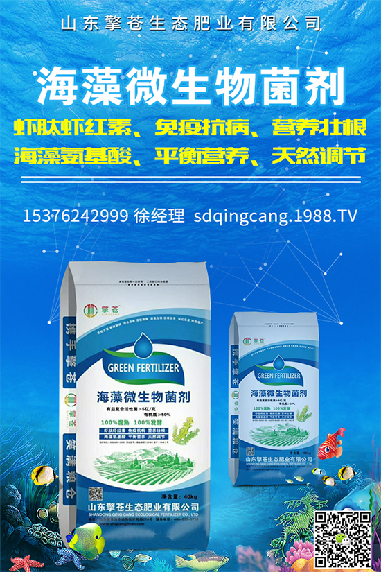 油麥菜霜霉病有哪些危害癥狀？有哪些表現(xiàn)？油麥菜霜霉病的防治措施