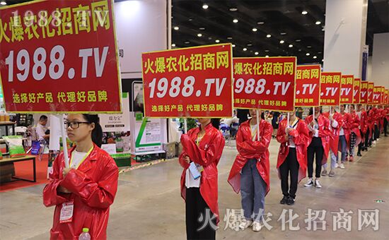 ǧ�̅R������Ʒ�Ƽ�|2019�����r(n��ng)����(hu��)ʢ���_(k��i)Ļ��