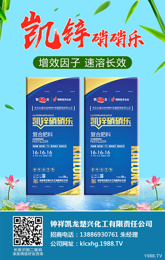 油麥菜白粉病有哪些危害？是如何引起的？油麥菜白粉病的防治措施