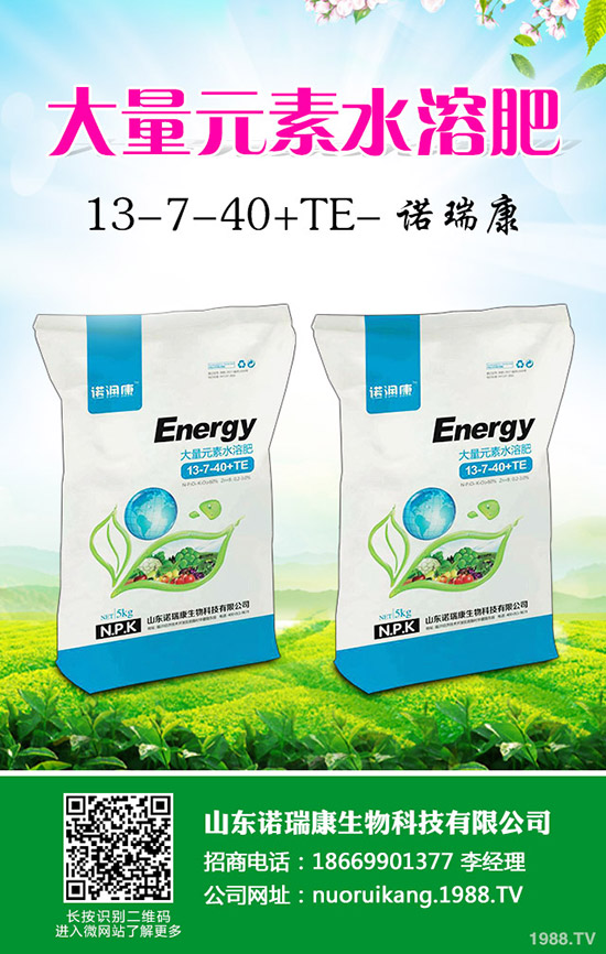     2019��10��26�ձ���⛷��Ј����������߄��u(p��ng)�y