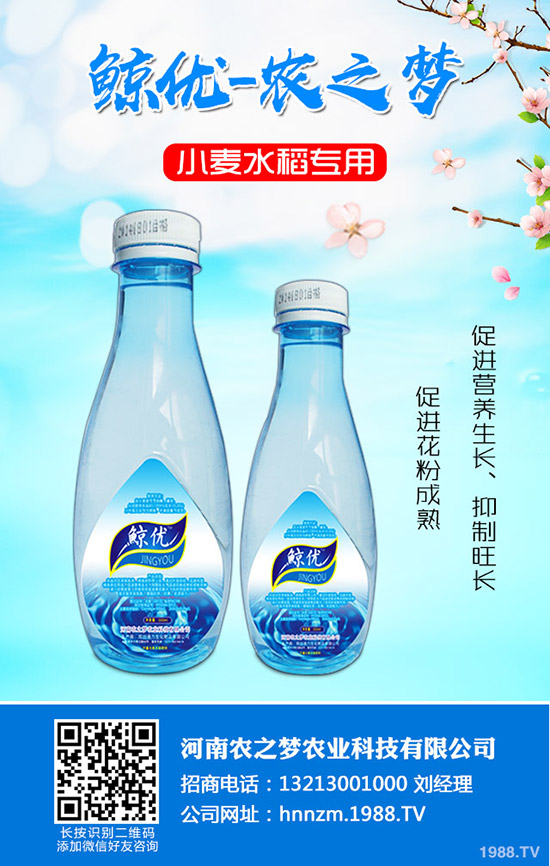 番茄缺鈣是什么表現(xiàn)？番茄補(bǔ)鈣措施！