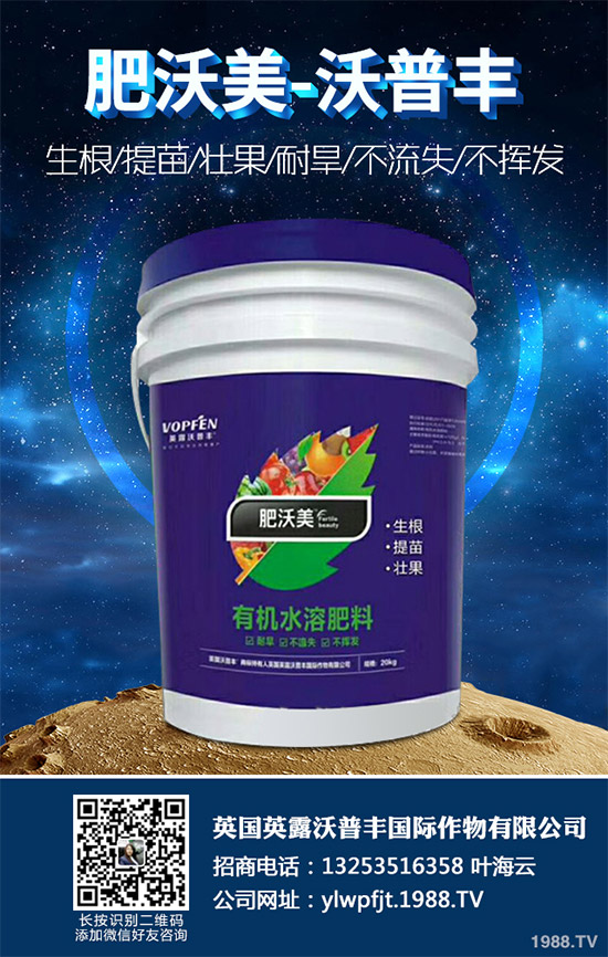     說起油麥菜，相信很多朋友都喜歡吃，不論是炒著吃，還是燙著吃油麥菜都有不一樣的風(fēng)味，油麥菜是我們常見的的蔬菜之一，油麥菜的營養(yǎng)價(jià)值略高于生菜，而遠(yuǎn)遠(yuǎn)優(yōu)于萵筍。那么，油麥菜的營養(yǎng)價(jià)值有哪些？吃油麥菜有哪些好處呢？