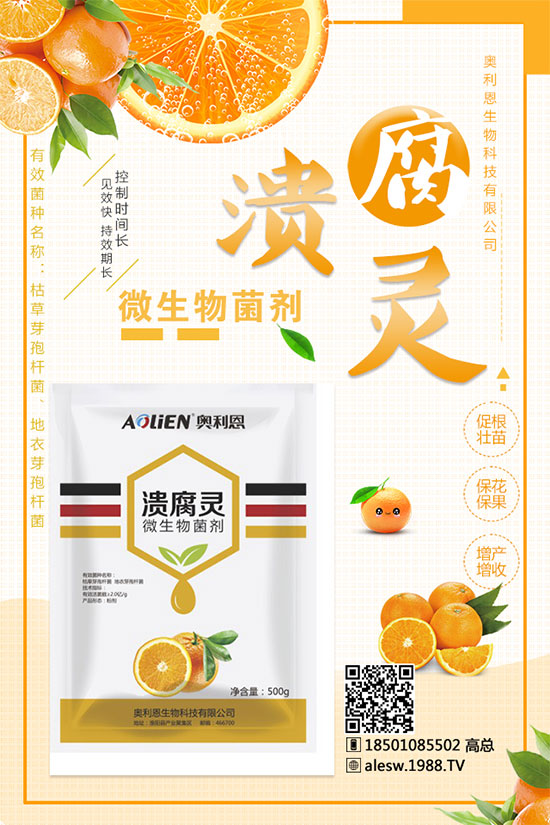 甘蔗什么時(shí)候種？甘蔗種植技術(shù)及種植條件