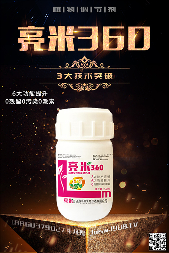 穿心蓮有哪些生長習性？穿心蓮葉的種植技術(shù)！