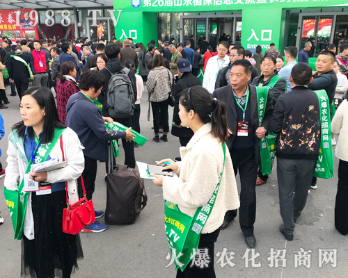     2019ɽ�|����ֲ���p�������r(n��ng)�����̾W(w��ng)��ٶ��w��