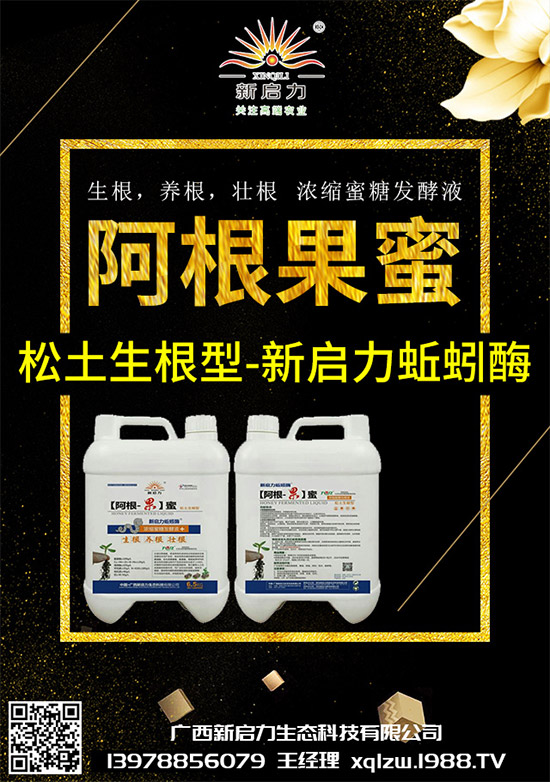 甘藍(lán)黑脛病有哪些危害？秋甘藍(lán)病害的發(fā)生與防治技巧