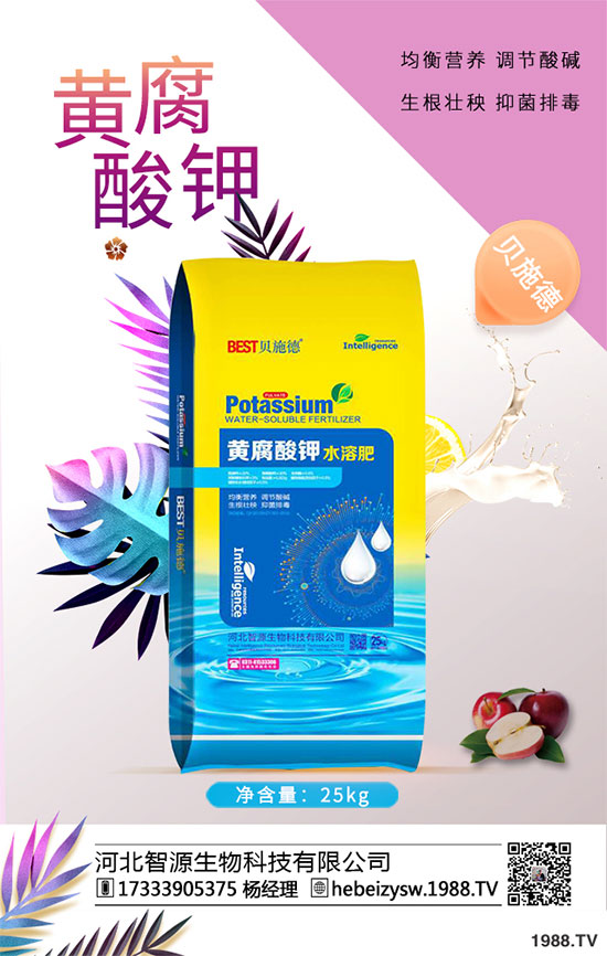 八月炸怎樣種植？八月瓜栽培技術(shù)！