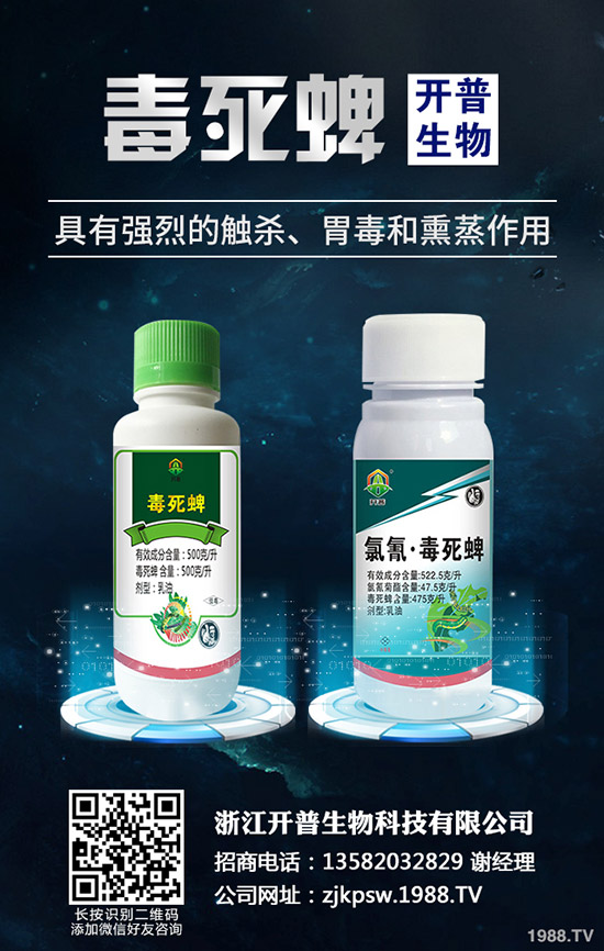 秋季種植哪些蔬菜好，秋季蔬菜種植指南！