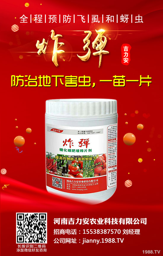 芹菜的功效與作用，哪些人不能吃芹菜？