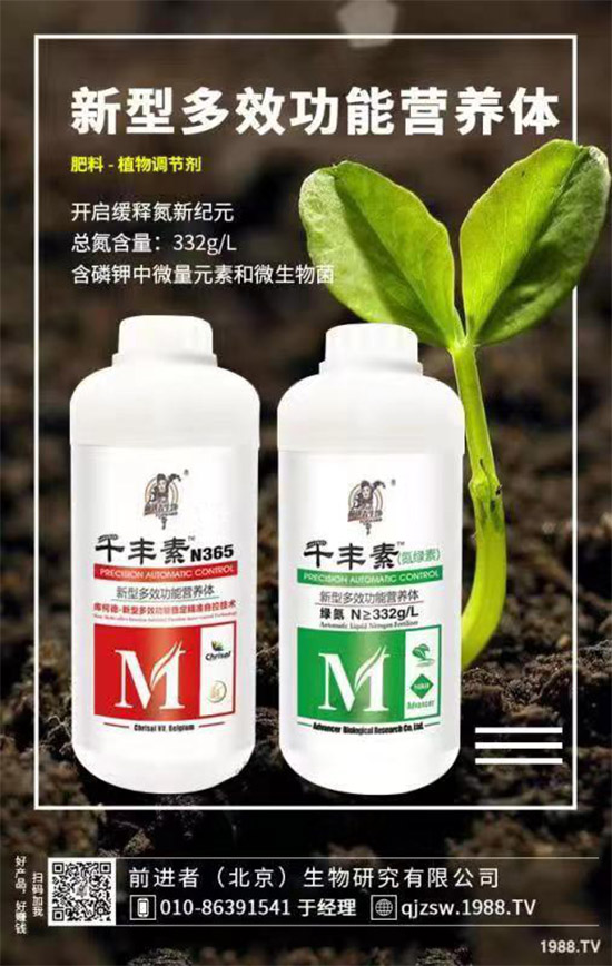 花生爛果怎么回事？花生爛果的防治措施！