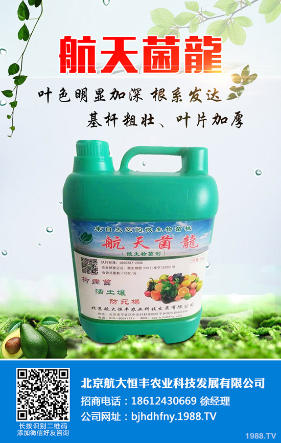 ���ֹϵķNֲ��������Щ�����ֹ���ηNֲ�׸߮a(ch��n)��