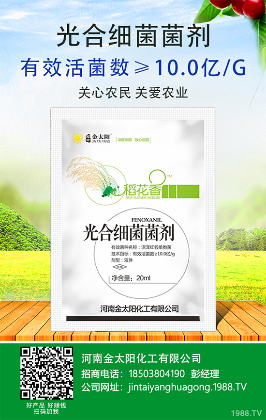 ����������ԭ�����������������k����