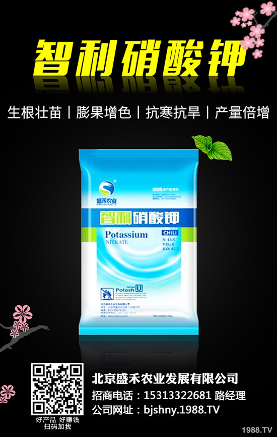 黑豆什么時(shí)候種植，黑豆的種植要點(diǎn)有哪些？