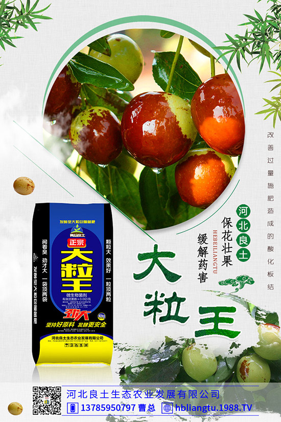 ����仨���ԭ������Щ����������������ʣ�