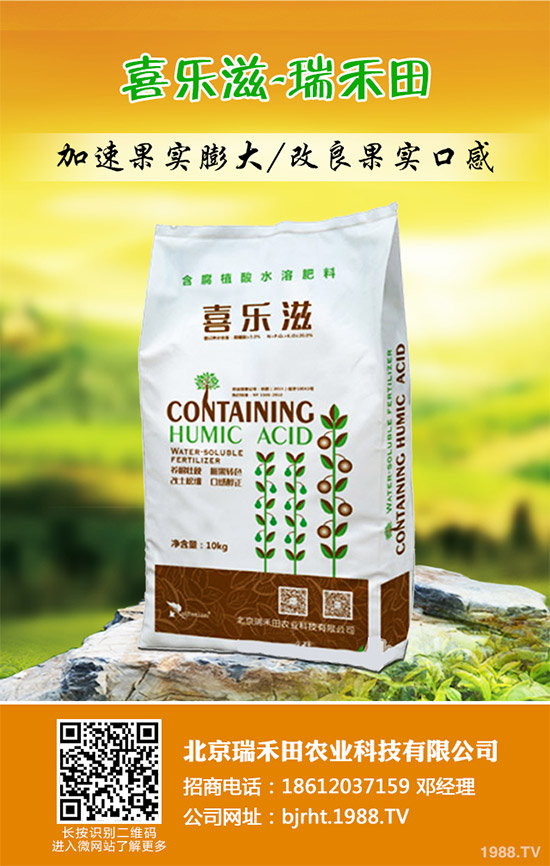 2019��11��12�ս��ո������؏S�҈�(b��o)�r(ji��)�^�m(x��)�µ������غ����A(y��)�y(c��)��