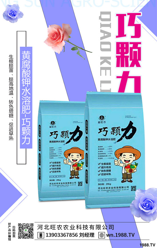 ���؃r�����һ�ܣ��r���»�������2019-11-13���س��S�r���A(y��)��(b��o)��