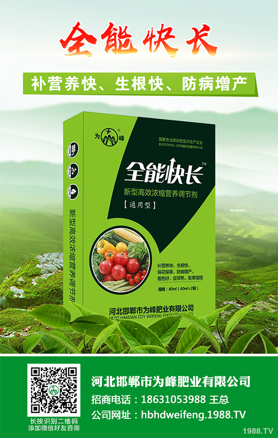 五味子樹該如何種植？五味子規(guī)?；N植技術(shù)