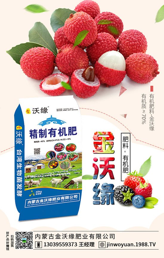 馬鈴薯種植要點有哪些，馬鈴薯種植注意事項