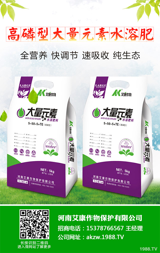 鹽堿地能種植棉花嗎？鹽堿地植棉高產(chǎn)技術(shù)