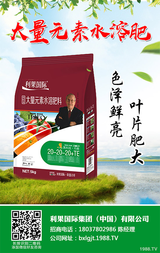 2020年種植水稻能掙錢(qián)嗎？2020年水稻種植前景