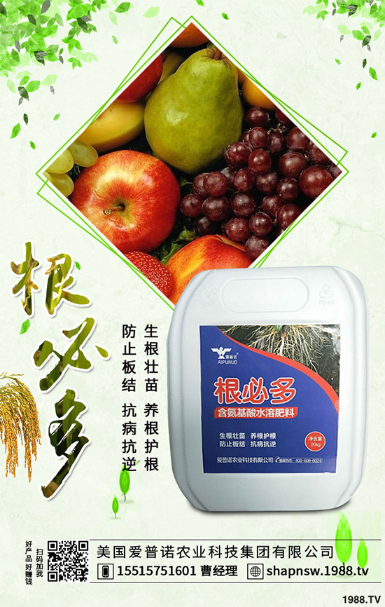 茄子怎么管理才能高產(chǎn)？茄子高產(chǎn)七大管理措施