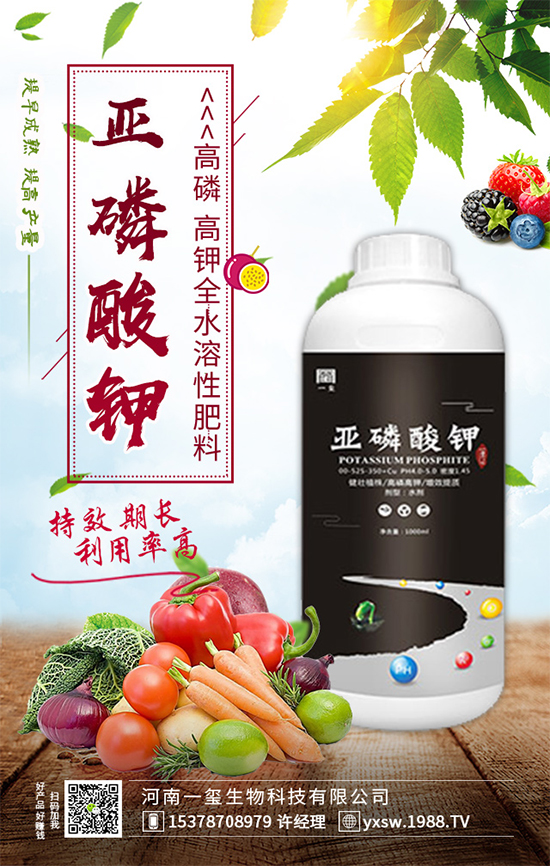 黃瓜畸形有哪幾種？黃瓜尖嘴瓜發(fā)生原因及預(yù)防措施！