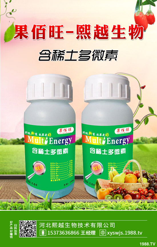 萵筍什么時候種植，萵筍種植要點有哪些？