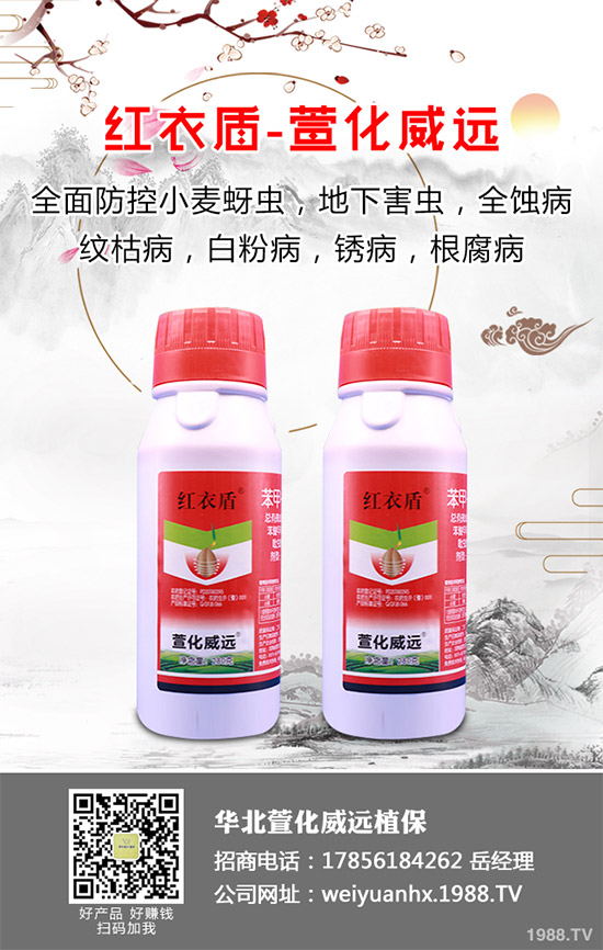 ���x(ch��ng)���r(ji��)��