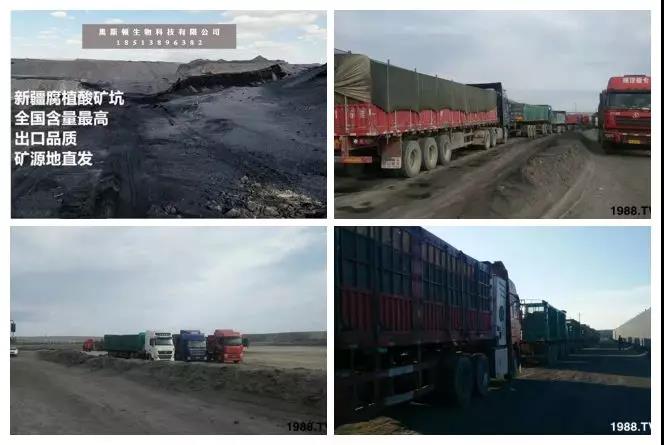 礦源黃腐酸鉀——精品肥！1公斤=8噸有機(jī)肥！新疆源頭直發(fā)?。?！