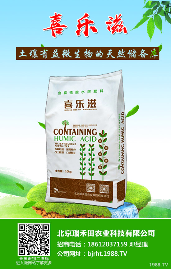 怎樣才能種好豆角呢？豆角的種植管理技巧！