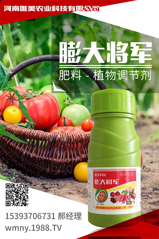 吃西柚有什么好處？挑選西柚的小技巧！