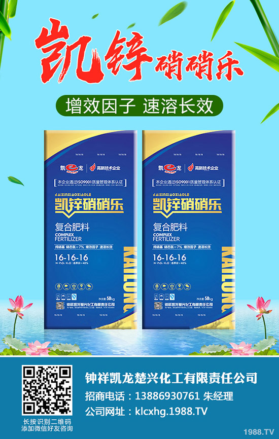 什么是有機大白菜，有機大白菜種植要點有哪些？