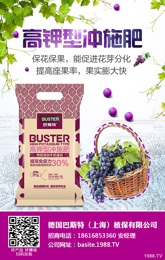 西葫蘆為什么會(huì)化瓜，西葫蘆化瓜原因及防治匯總！