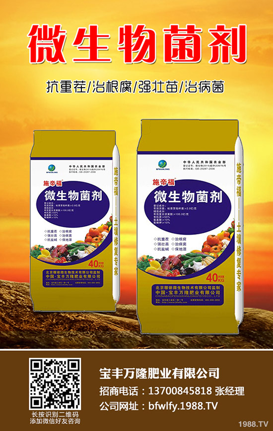 西蘭花種植方法有哪些？西蘭花種植注意事項(xiàng)！