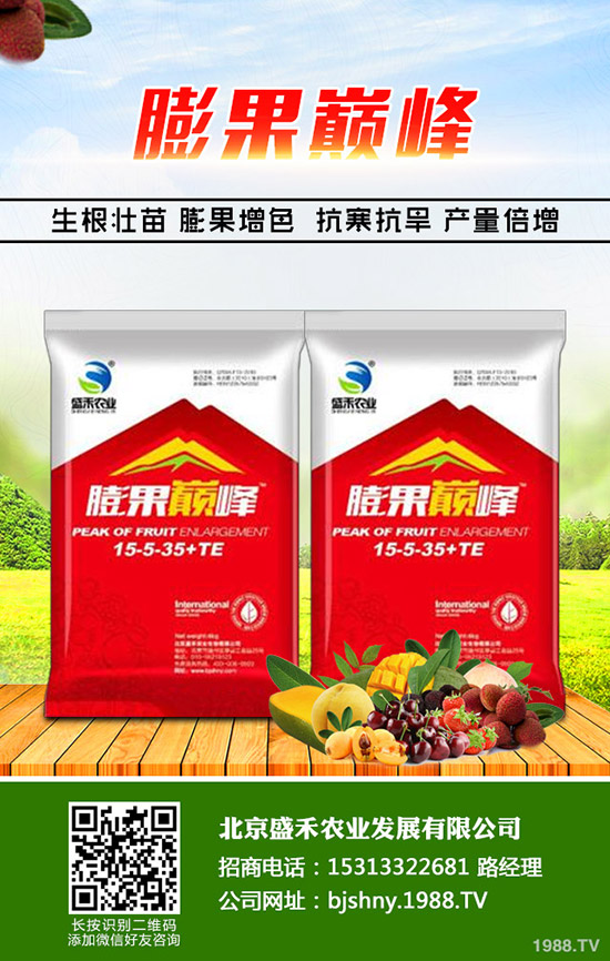 冬季大棚番茄空心果是什么原因，怎樣避免番茄空心果發(fā)生？