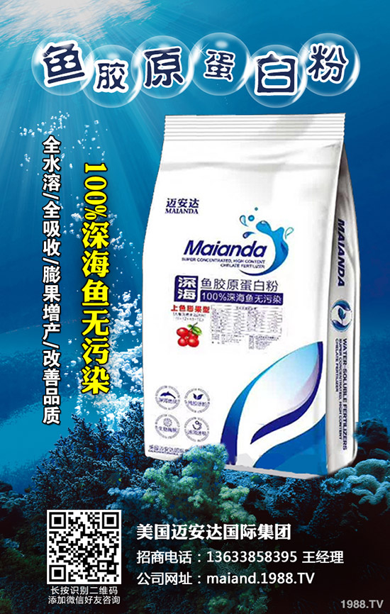     2020年香菇種植賺錢么？前景怎樣？種植品種推薦！