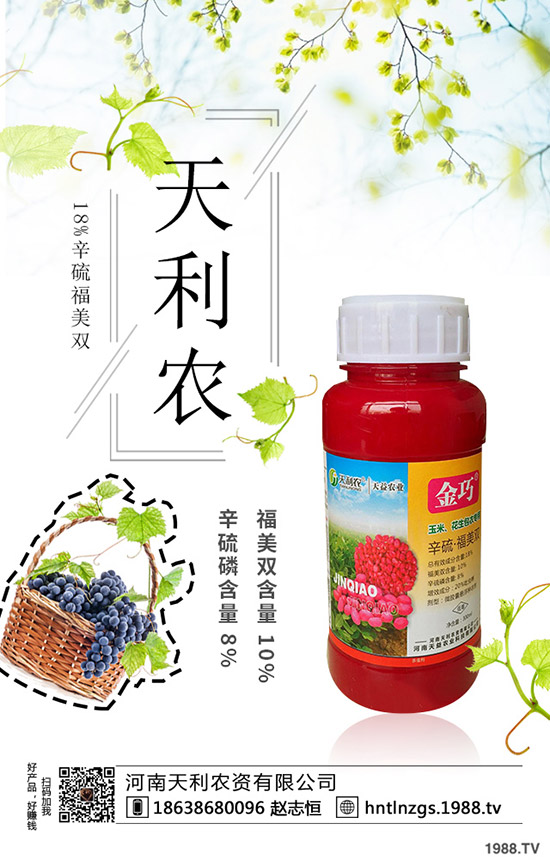 冬棗縮果病是咋回事？冬棗縮果病發(fā)病癥狀、原因和防治措施！