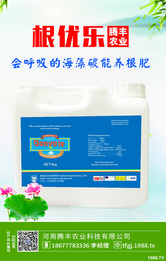 石榴褐斑病導致發(fā)黃落葉怎么辦？石榴褐斑病的防治要點！